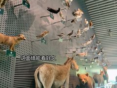 -中国湿地博物馆