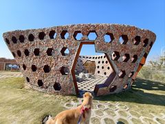 -南汇嘴观海公园