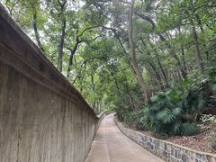 -宝通禅寺