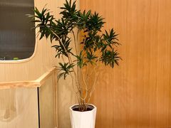 -瑶舍头疗·瑶浴·芳香热石SPA(五洲国际店)