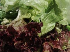 -赶海部落海鲜城(海阳路店)