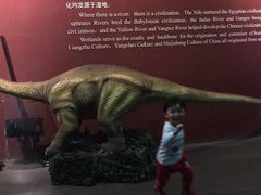 -中国湿地博物馆