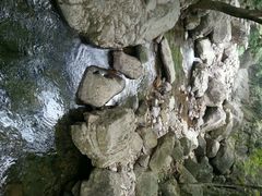 android_upload_pic-白云源风景区