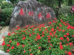 -广州市流溪河国家森林公园
