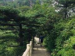 -牛背梁国家森林公园