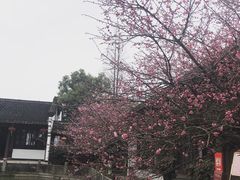 -丝绸小镇荻港古村