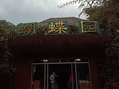 -野象谷景区