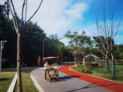 -上海长兴岛郊野公园