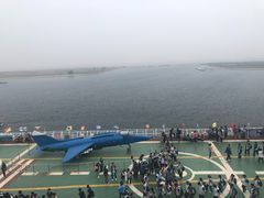 -泰达航母主题公园