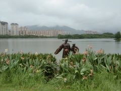 -飞来湖湿地公园