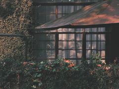 -凤凰御元艺术基地