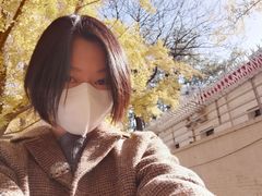 -三里屯东五街银杏大道