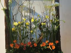 -人民公园(罗湖区)