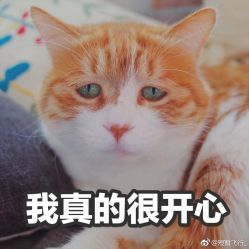 -花师傅