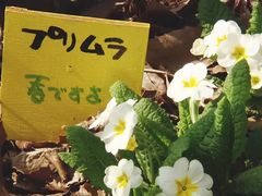 -学习谷日语培训日本留学·多语种外语教学(海淀人大分部)