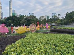 -九龙公园