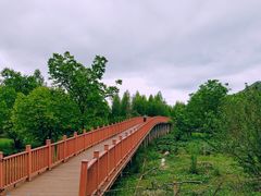 -泸沽湖国家级风景名胜区走婚桥
