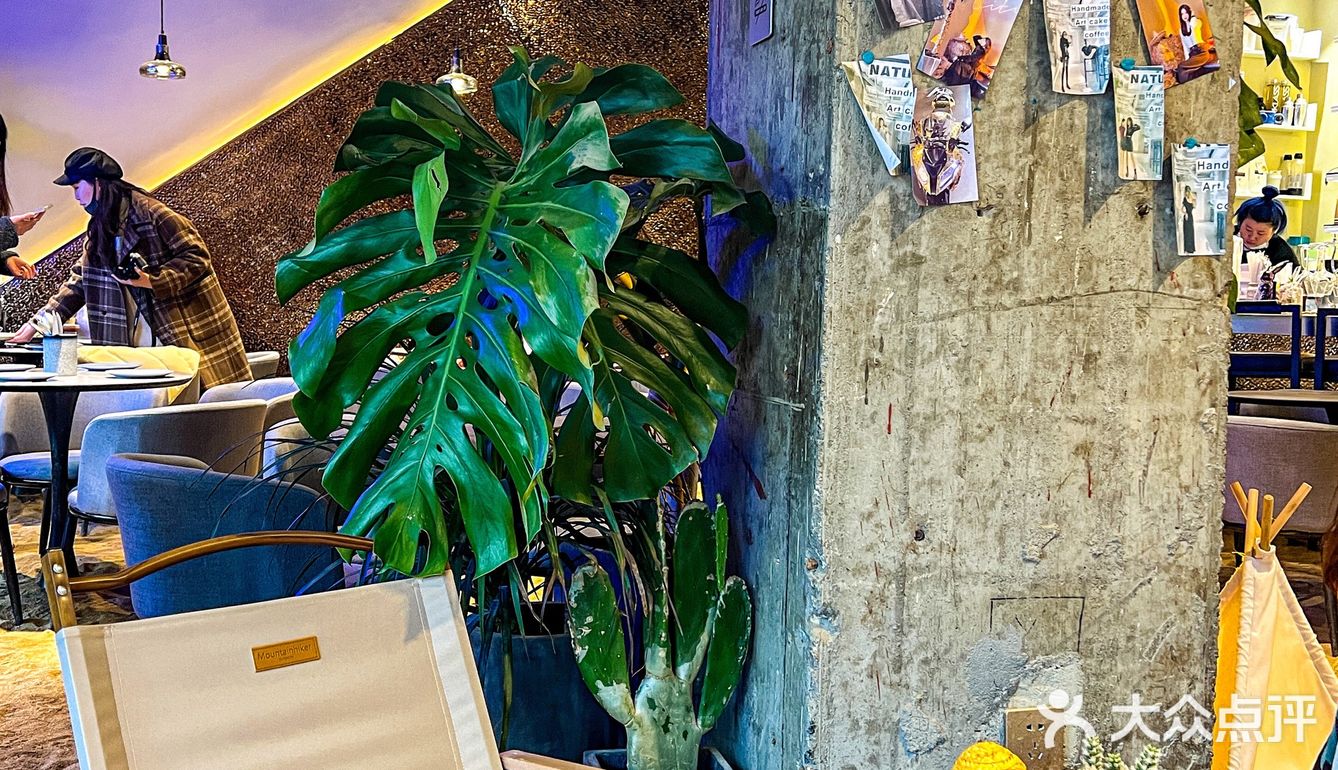 卷！！现在餐厅居然会把整片沙滩🏖️搬进店里 