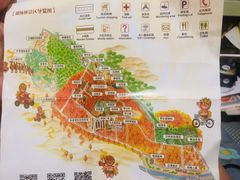 -金塔沙漠胡杨林景区