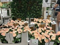 -宜家家居(高新商场店)