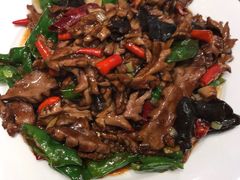 -光辉公鸡馆(事业小区店)