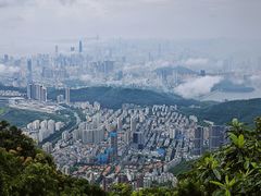 -梧桐山风景名胜区