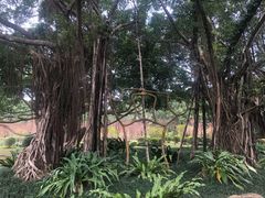 -南宁南湖公园