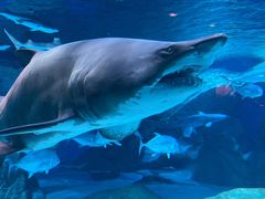 -海合安成都极地海洋公园