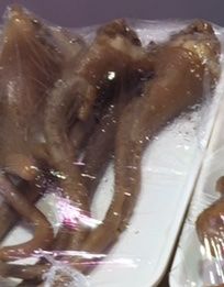 猪尾-京宁汇一站式生鲜超市