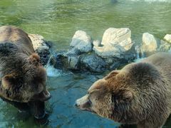 -北京野生动物园
