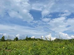 -山王坪喀斯特国家生态公园