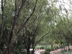 -宝界山林公园