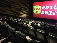 -保定金棕榈先天下国际影城(LUXE)