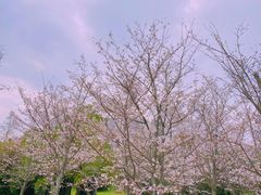 -堤角公园