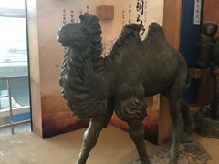 -银川河东国际机场