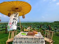 -七的湖·晚芳亭·阳澄湖农家菜·大闸蟹(莲花岛店)