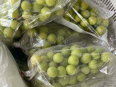 -马陆小张葡萄园农家乐