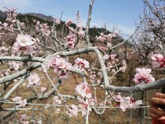 -崂山九水游览区