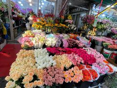 -曲阳花鸟市场(曲阳路店)