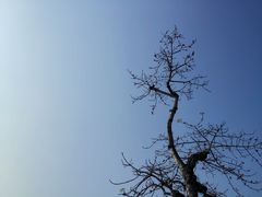 -三亚南山文化旅游区