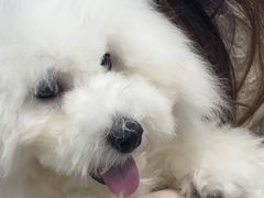 -博特宠物医院24h犬猫全科.骨科·异宠