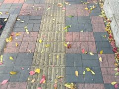 -普天和酒楼·新津菜·烤鸭(天津之眼店)