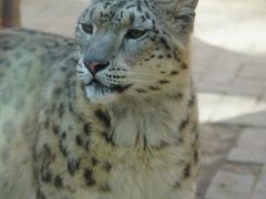 -青藏高原野生动物园