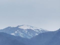 -黑河国家森林公园