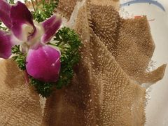 -九牧鱻·渝老鬼重庆火锅(人民路店)