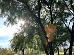 -林栖谷森林康养度假区