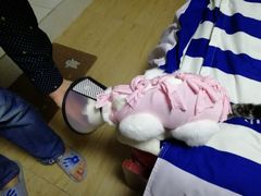 -谐和益家动物医院·免疫绝育·血液透析·宠保定点医院(高新伊藤分院)