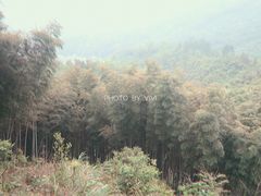 -梅岭月亮湾山体公园