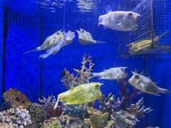 -多彩贵州城极地海洋世界