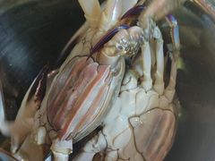 -77号渔船·蒸海鲜青岛菜(积米崖店)